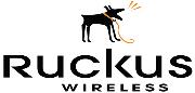Ruckus Wireless LLC Logo